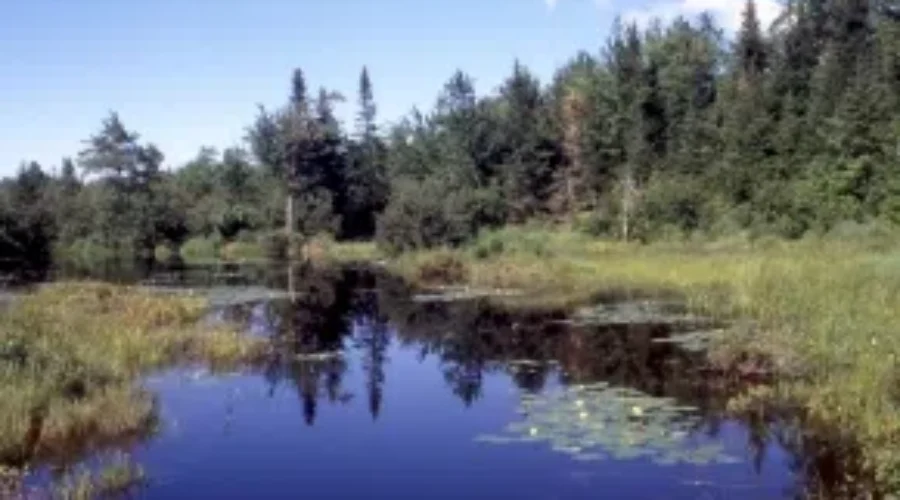 Nature Preserve Along Bay Of Fundy Expanded