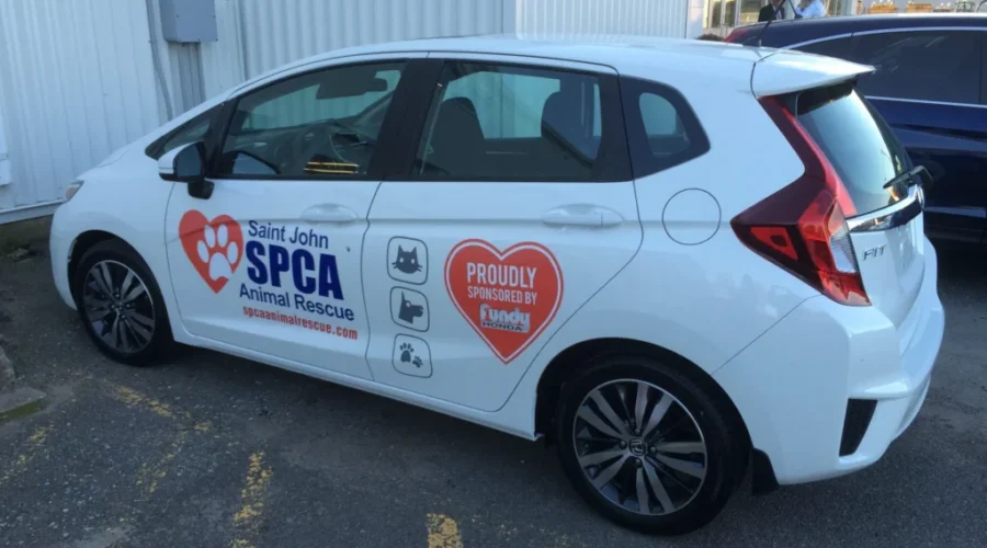 A Big Surprise For Saint John Animal Shelter