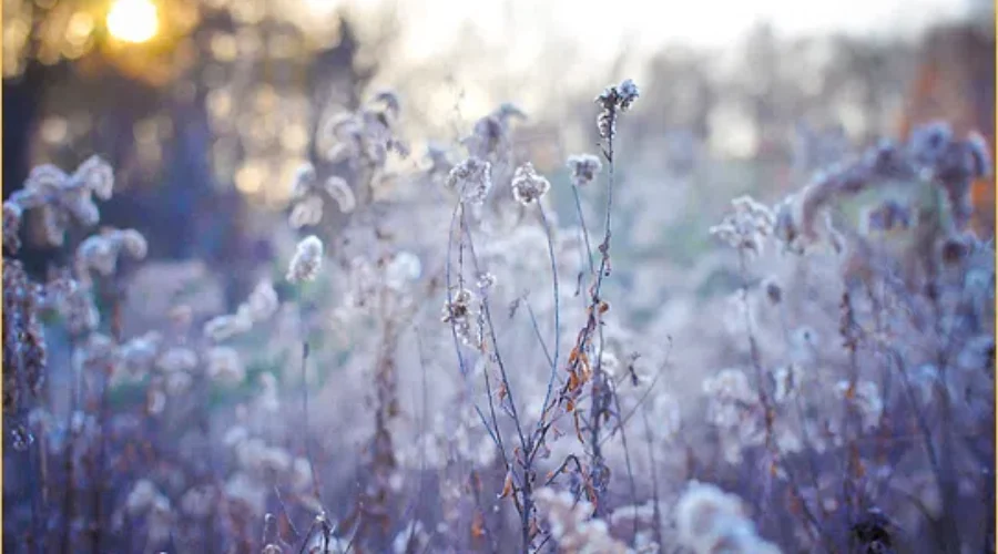 Summer Is Officially Over – Colder Weather Is Here