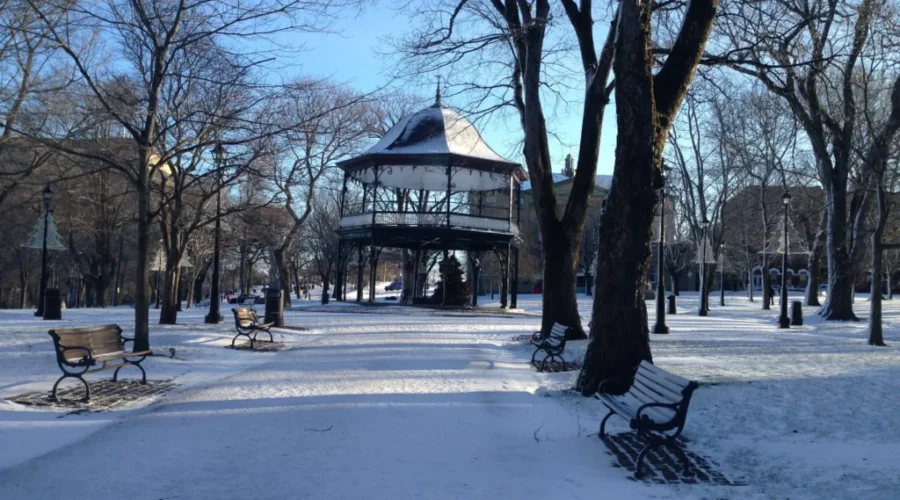 The Weather Network Predicts A Milder Winter