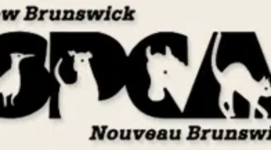 Provincial Government Gives Funding To New Brunswick SPCA