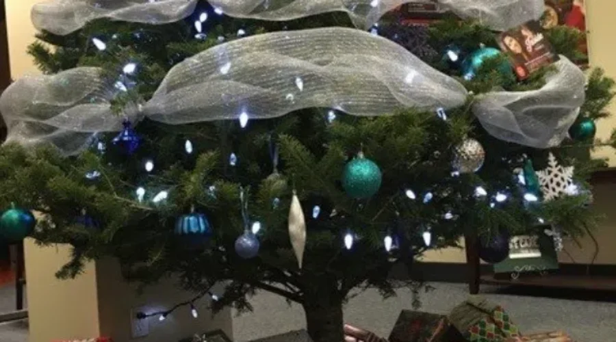 You Still Have Time To Complete This Holiday Project
