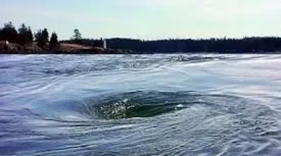 Bay Of Fundy Under Threat From Climate Change
