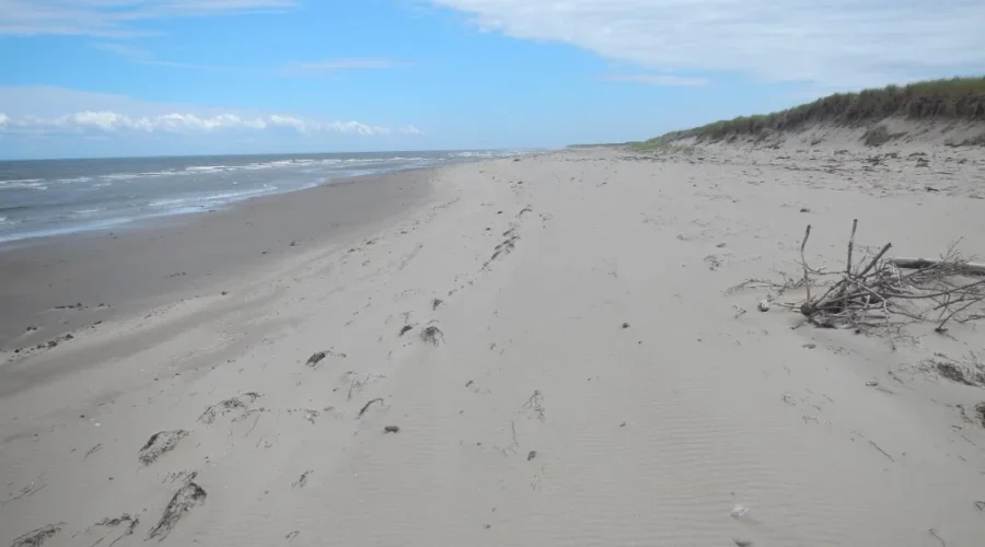 Sunshine Destinations Still Popular Despite Low Loonie