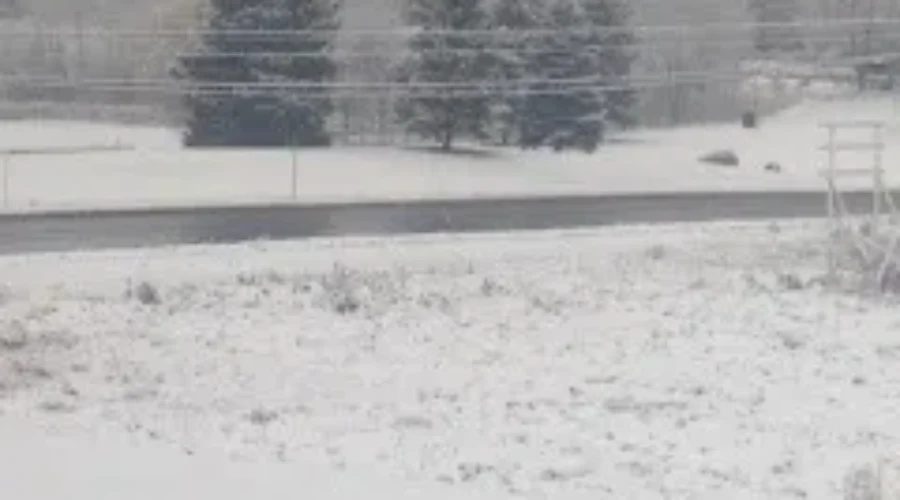 Mild NB December Breaks Records From 1881