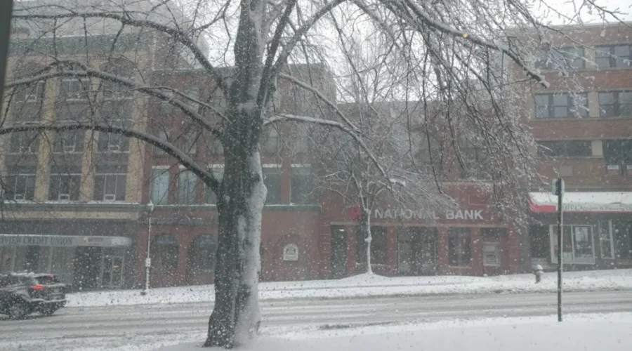 Environment Canada Meteorologist Says Snowstorm Could Bring 35cm