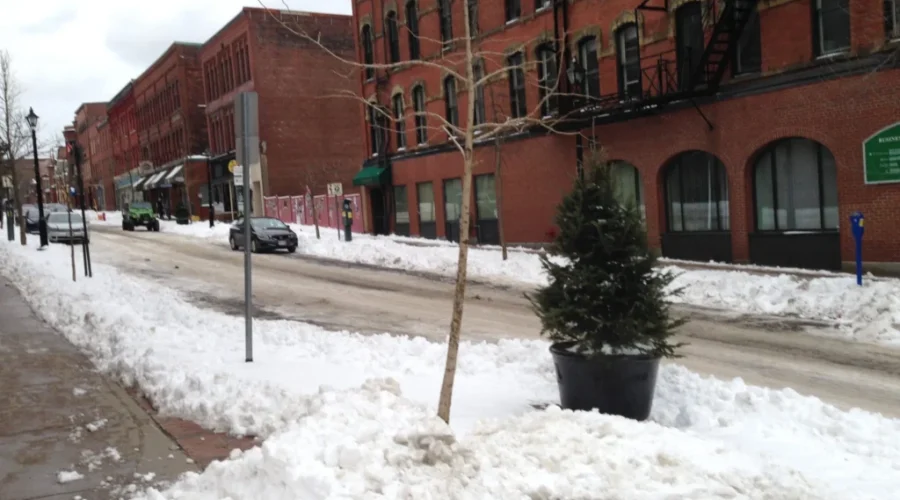 Newly-Launched Development Grants Aim To Spark Growth In City’s Central Peninsula