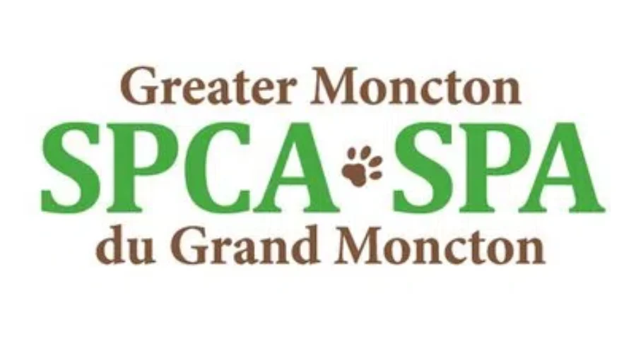 Greater Moncton SPCA Names New Executive Director