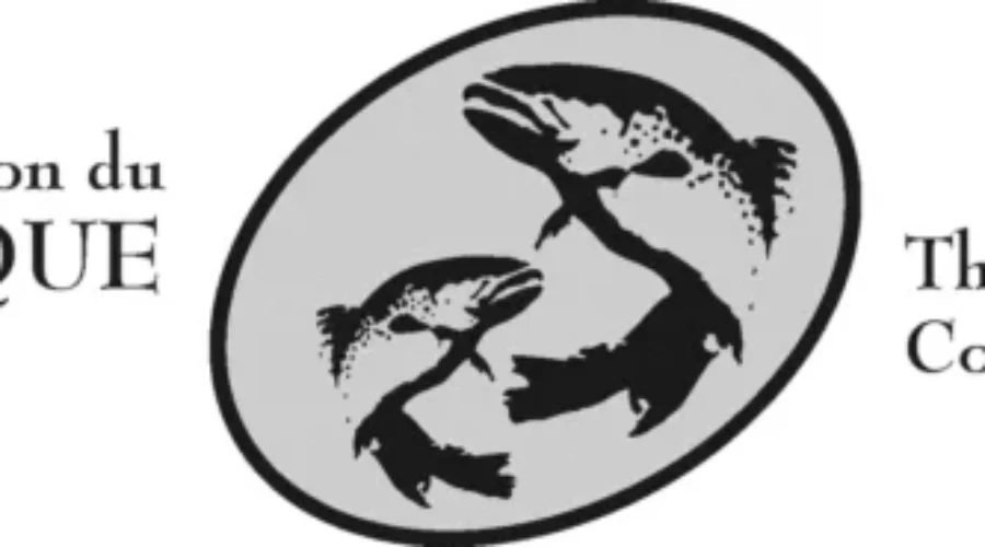Hundreds Of Thousands Of Dollars Going To Fund Salmon Conservation In New Brunswick
