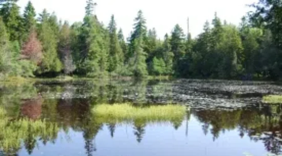 Climate Change Is More Than Just Reducing Greenhouse Gas Emissions