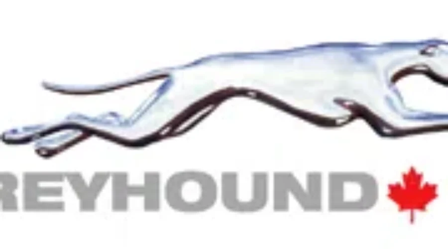 Greyhound Sends Saint Johner Home From Fort McMurray Free Of Charge