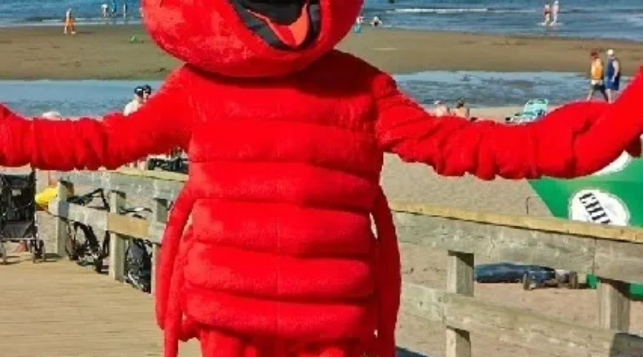 Lobster Harvesting Size Increasing In Northumberland Strait