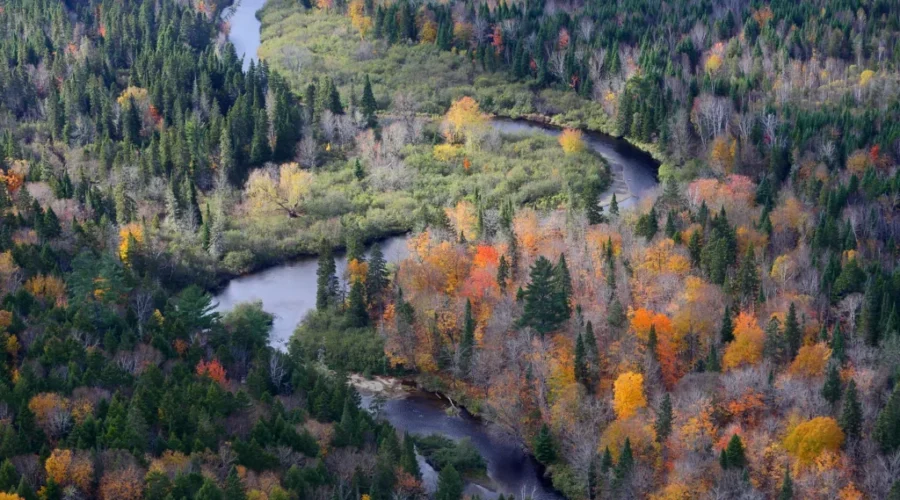 TransCanada Gives $120,000 Towards Miramichi Salmon Project