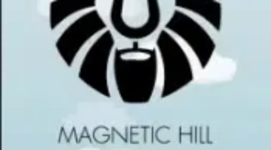 Magnetic Hill Zoo Manager Comments On Gorilla Killing