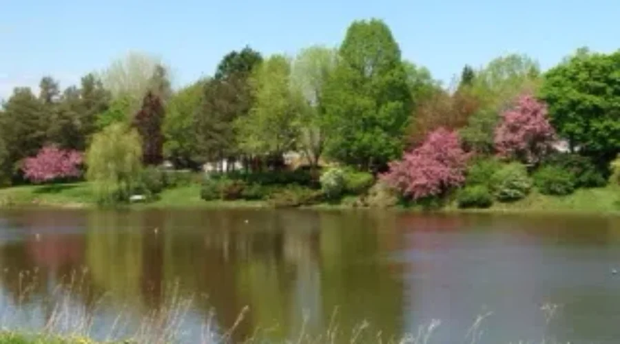 Summer Has Arrived In NB But What About The Weather?