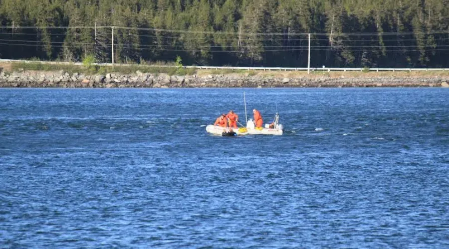 Two Women Rescued From Water After Rising Tides Leave Them Stranded