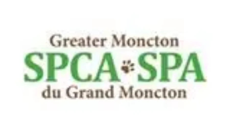 Dog Missing For Months Reunited With Owner In Moncton