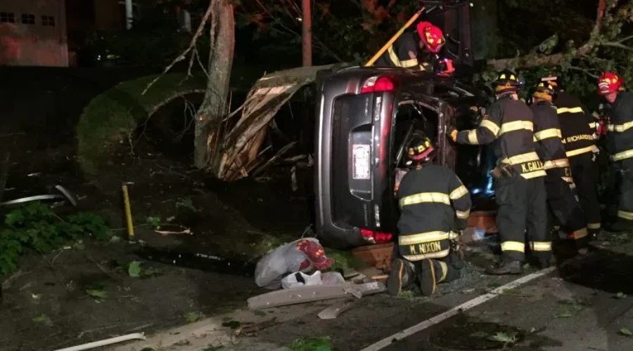 Car Crashes Into Tree