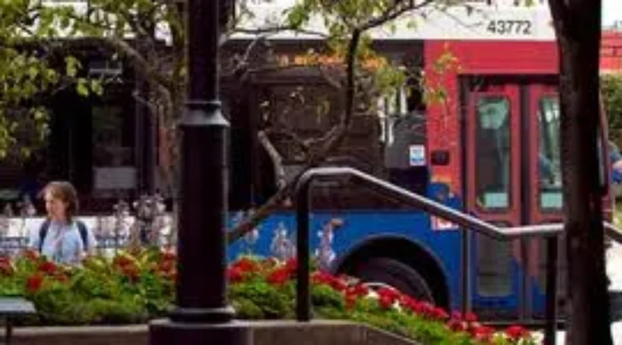 Bus Ridership Is Down