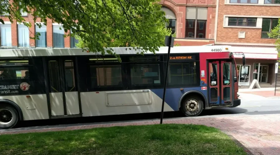 Saint John Transit Operating With ‘Severe’ Lack Of Data, CEO Says