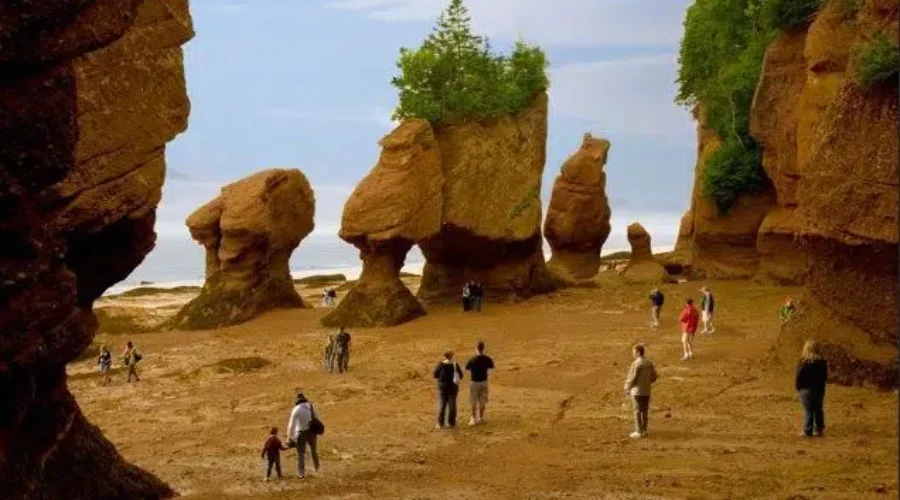 Free Admission Into Provincial Parks For New Brunswick Day