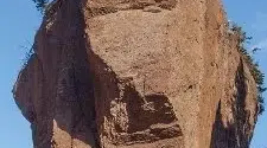 Hopewell Rocks Won’t Rename Former Elephant Rock Anytime Soon