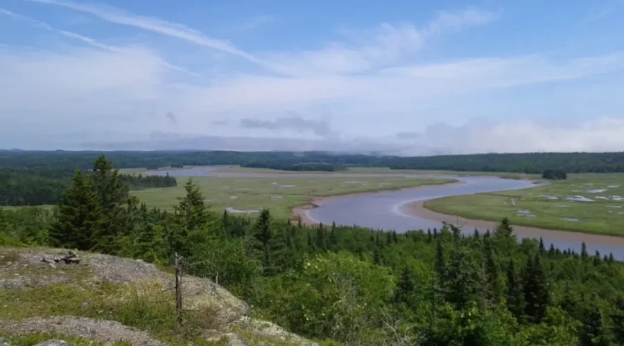 Adding More Protected Land In Musquash and on Grand Manan Island