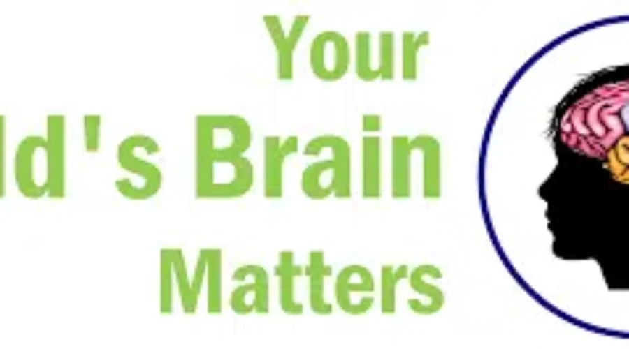 Everything You Wanted To Know About Concussions