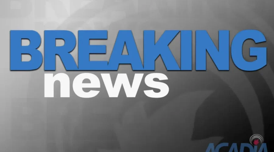 BREAKING: Dennis Oland Released From Custody