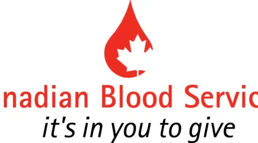 Feeling Thankful? You Can Donate Blood In Hampton