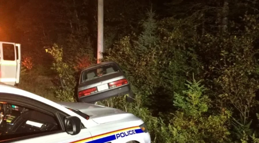 Vehicle Swerves To Avoid Moose, Hits Telephone Pole In Musquash