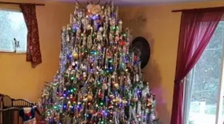 The City Offers 6 Tree Drop Off Locations