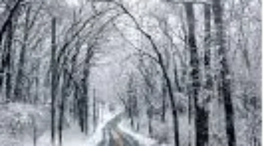 Safety Tips For Travelling During The Christmas Season