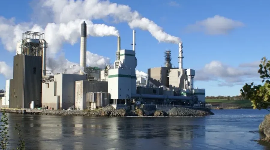 UPDATED: Irving Pulp And Paper Pleads Not Guilty To Illegal Dumping Into St. John River