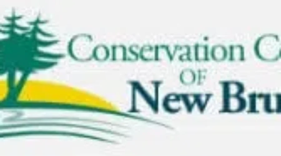 New Brunswick Faces Opportunity With Emissions Reductions Strategies