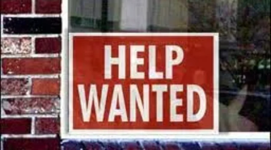 Unemployment Rates Rise