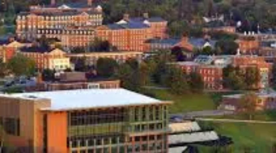 UNB Releases Results Of Survey On Sexual Assault