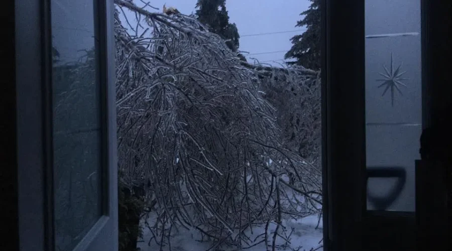 What You Need To Know For #IceStorm2017