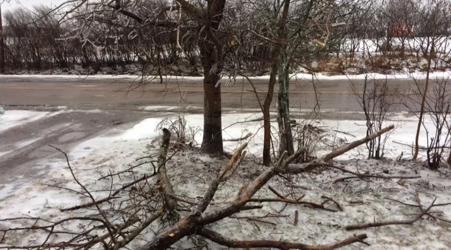 Storm Pics And Video From January 25, 2017