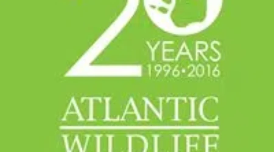 Atlantic Wildlife Institute Recommends Keeping A Close Eye On Small Pets