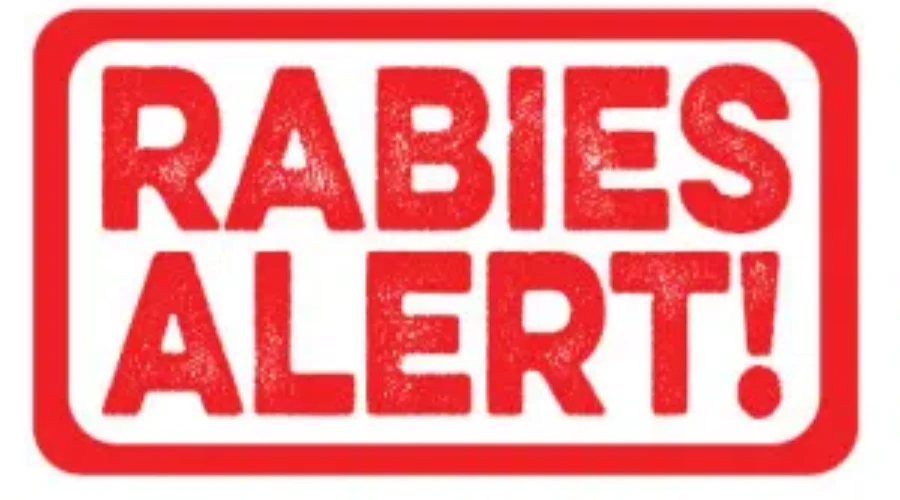 Rabies Case Discovered In Waweig