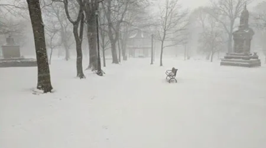 Storm Brings Messy Mix Of Snow, Rain To Saint John