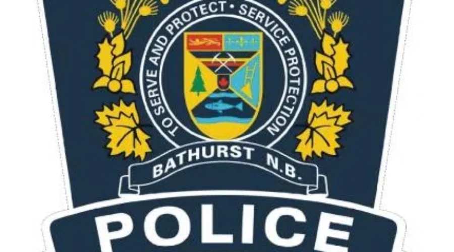Bathurst Woman Dies In Pedestrian/Vehicle Accident