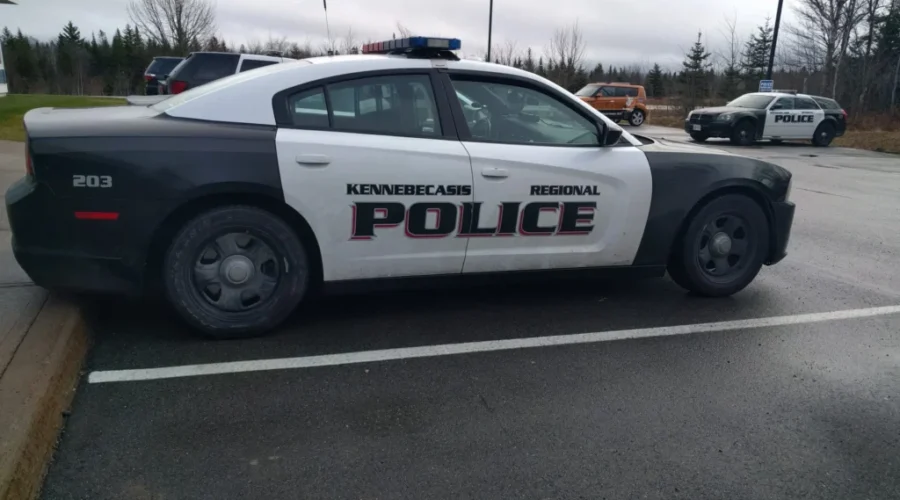 Dog Found Wandering Around With Gunshot Wound In KV