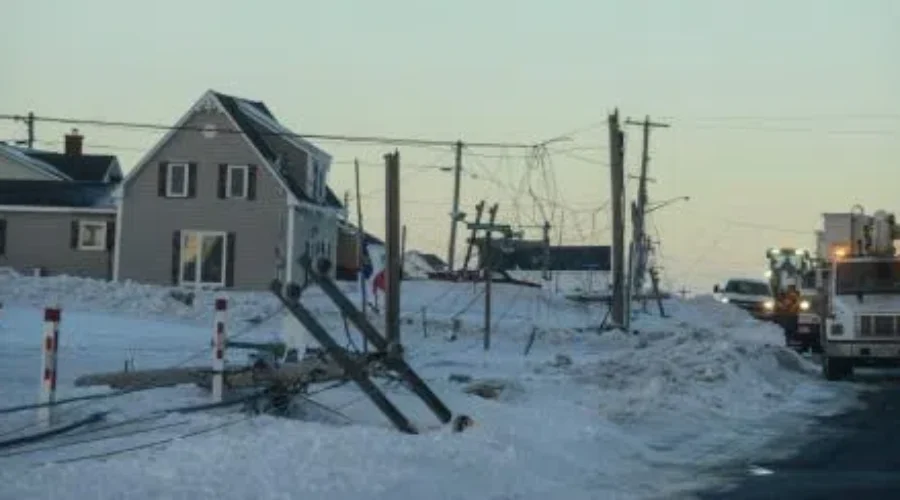 Conservation Council of New Brunswick Makes Recommendations For Post Ice Storm Analysis