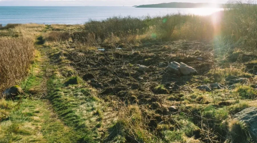 No Charges Against Councillor Who Damaged Seaside Park