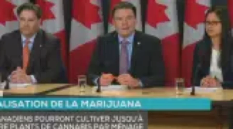 No Amnesty For People Convicted Of Marijuana Possession