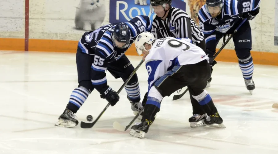 Excitement Builds As The Sea Dogs Get Set For Round 3