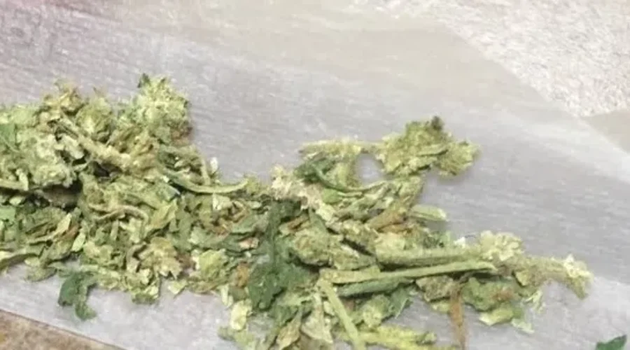Trudeau Government Unveils Legislation To Legalize Pot
