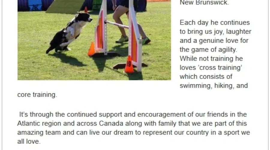 New Brunswick Woman And Her Dog In Spain For World Dog Agility Championship